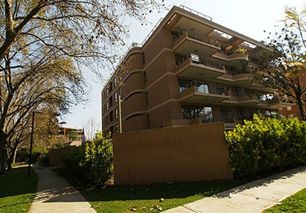 2008elBoldo
