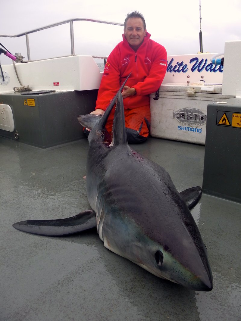 United Kingdom - admiralshark