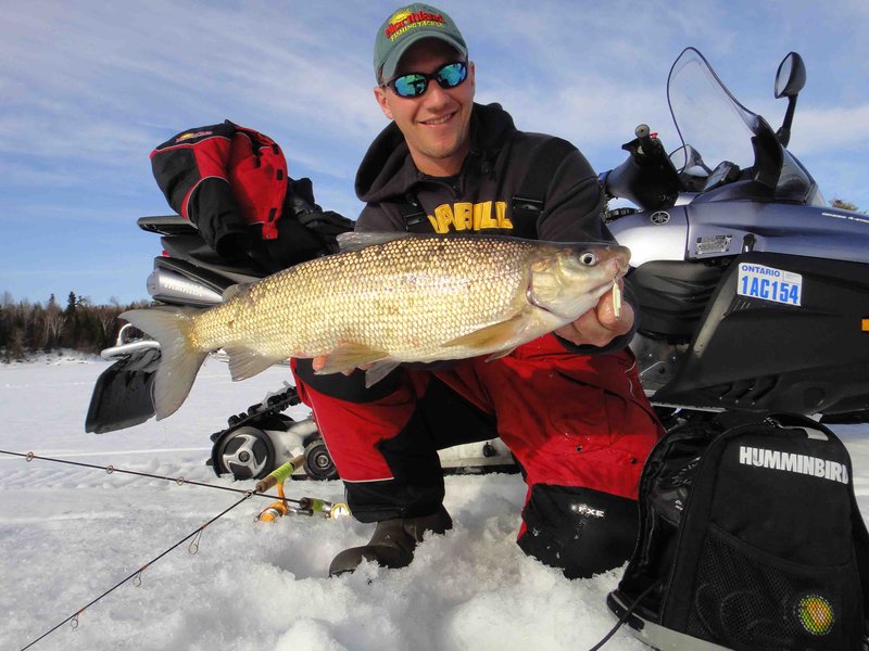 Image: Experience the Thrill of Ice Fishing Live Casino Games in the UK