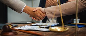 Advancing Justice The Role of Human Rights Law Firms