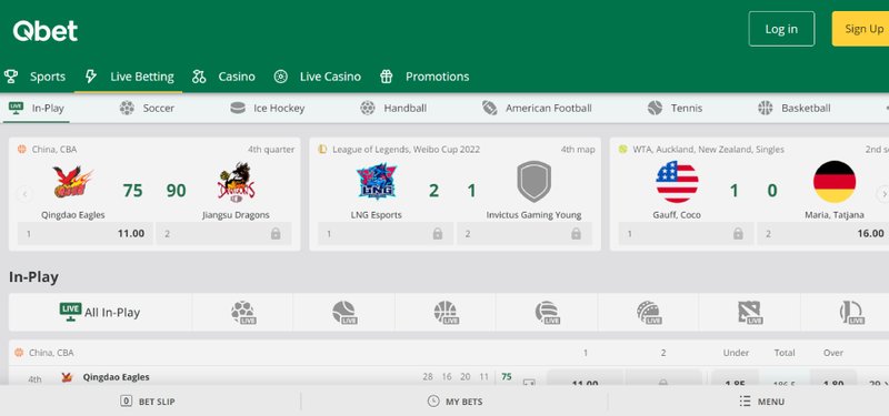 QBet Online Casino: Zoeken naar een bonus zonder storting? - overview